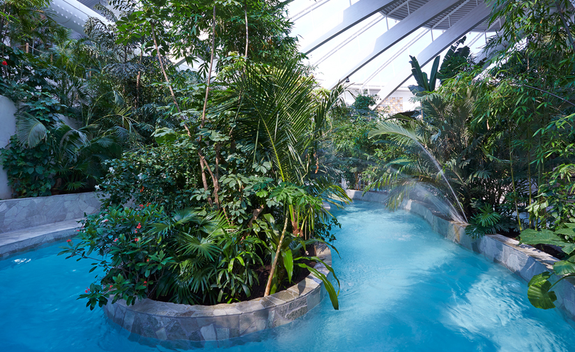 Center Parcs